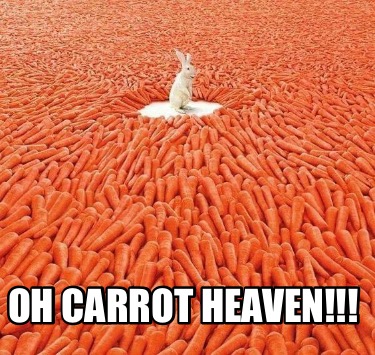 oh-carrot-heaven