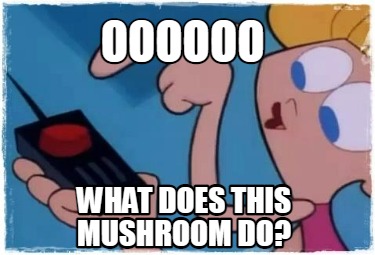 oooooo-what-does-this-mushroom-do
