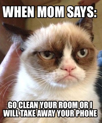 Meme Maker - When mom says: Go CLean your room or i will take away your  phone Meme Generator!