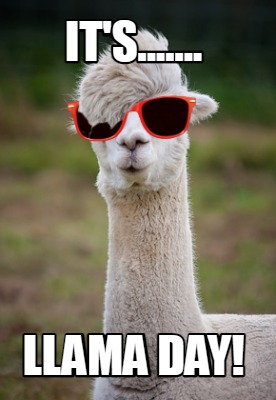 its.......-llama-day