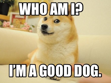 who-am-i-im-a-good-dog