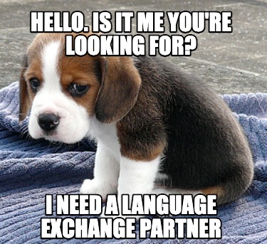 hello.-is-it-me-youre-looking-for-i-need-a-language-exchange-partner
