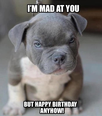 im-mad-at-you-but-happy-birthday-anyhow