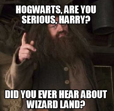 hogwarts-are-you-serious-harry-did-you-ever-hear-about-wizard-land