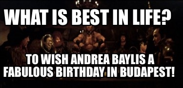 what-is-best-in-life-to-wish-andrea-baylis-a-fabulous-birthday-in-budapest
