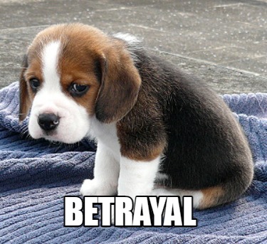 betrayal2