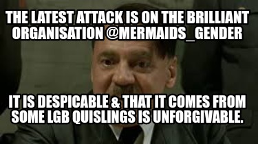 the-latest-attack-is-on-the-brilliant-organisation-mermaids_gender-it-is-despica