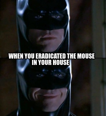when-you-eradicated-the-mouse-in-your-house