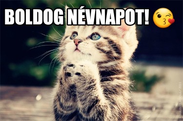 boldog-nvnapot-