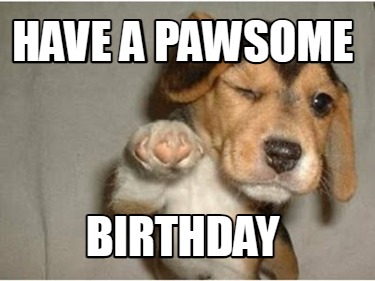 Meme Maker - Hey! You! Have a day full of fun & surprises!! Happy birthday calvin! Meme Generator! Meme Maker - Hey! You! Have a day full of fun & surprises!! Happy birthday calvin! Meme Generator!