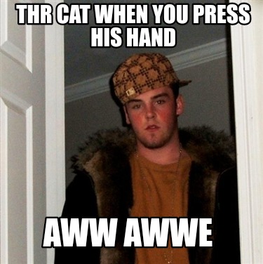 thr-cat-when-you-press-his-hand-aww-awwe