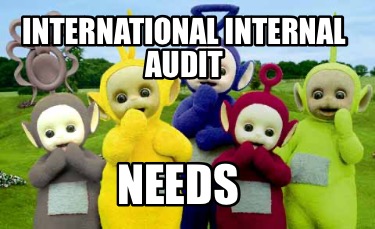 international-internal-audit-needs