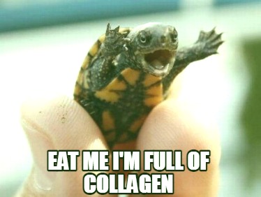 eat-me-im-full-of-collagen