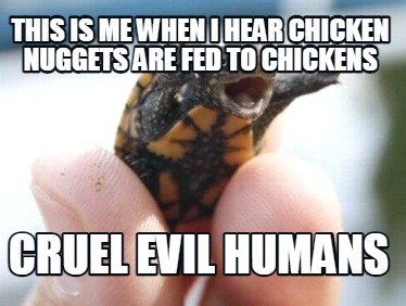 this-is-me-when-i-hear-chicken-nuggets-are-fed-to-chickens-cruel-evil-humans