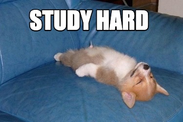 study-hard2