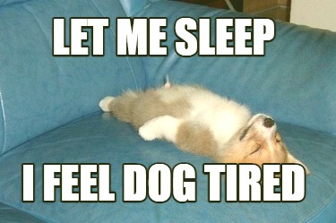 let-me-sleep-i-feel-dog-tired