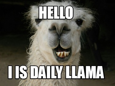 hello-i-is-daily-llama