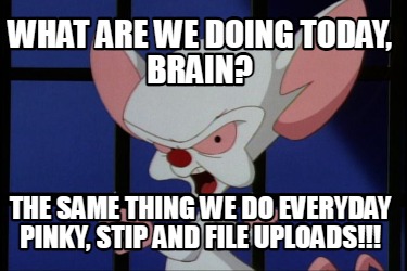 what-are-we-doing-today-brain-the-same-thing-we-do-everyday-pinky-stip-and-file-