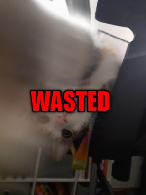 Meme Maker - WASTED Meme Generator!