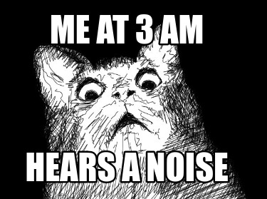 me-at-3-am-hears-a-noise