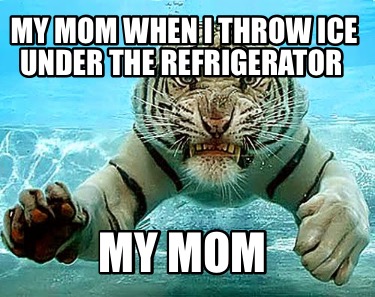 my-mom-when-i-throw-ice-under-the-refrigerator-my-mom