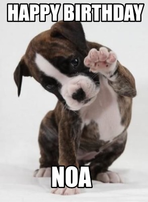 Meme Maker Happy Birthday Noa Meme Generator Meme Maker Happy Birthday Noa Meme Generator