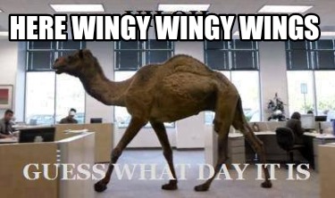 here-wingy-wingy-wings