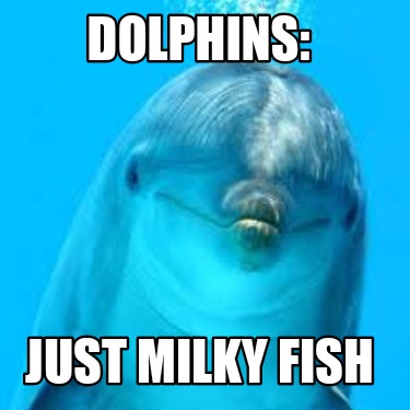dolphins-just-milky-fish