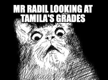 mr-radil-looking-at-tamilas-grades