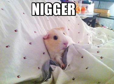 nigger80