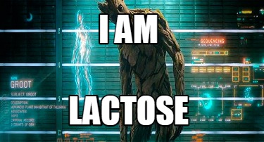 i-am-lactose