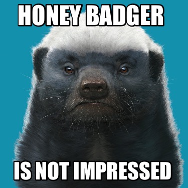 honey-badger-is-not-impressed3
