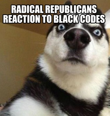 radical-republicans-reaction-to-black-codes