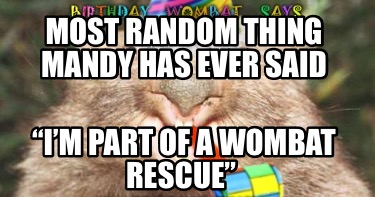 most-random-thing-mandy-has-ever-said-im-part-of-a-wombat-rescue