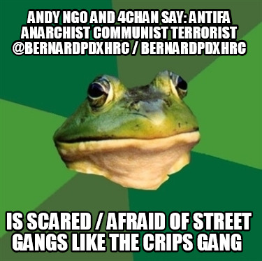 andy-ngo-and-4chan-say-antifa-anarchist-communist-terrorist-bernardpdxhrc-bernar70