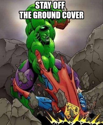 stay-off-the-ground-cover