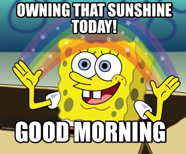 Meme Maker - Owning that Sunshine Today! GOOD MORNING Meme Generator!
