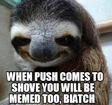 when-push-comes-to-shove-you-will-be-memed-too-biatch