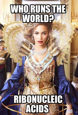 who-runs-the-world-ribonucleic-acids