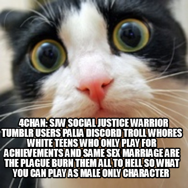 4chan-sjw-social-justice-warrior-tumblr-users-palia-discord-troll-whores-white-t3