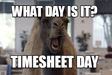 what-day-is-it-timesheet-day