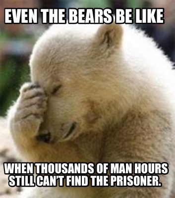 even-the-bears-be-like-when-thousands-of-man-hours-still-cant-find-the-prisoner