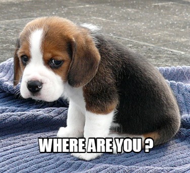 where-are-you-