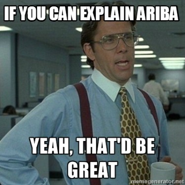 if-you-can-explain-ariba