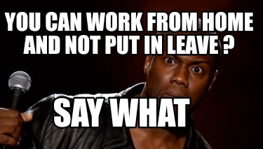 you-can-work-from-home-and-not-put-in-leave-say-what