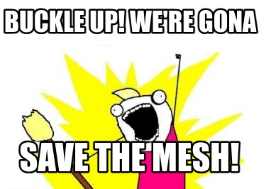 buckle-up-were-gona-save-the-mesh