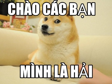 cho-cc-bn-mnh-l-hi