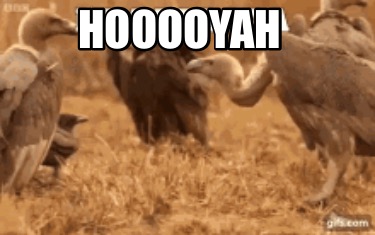 hooooyah4