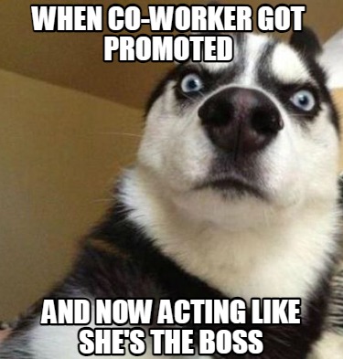 when-co-worker-got-promoted-and-now-acting-like-shes-the-boss