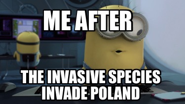 me-after-the-invasive-species-invade-poland